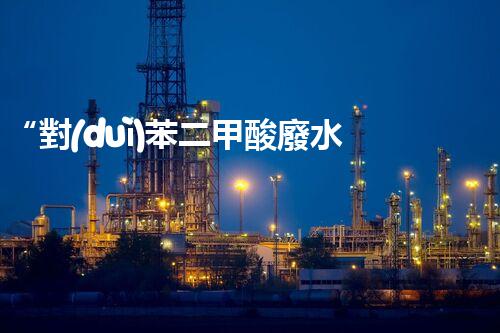 “對(duì)苯二甲酸廢水處理，綠色創(chuàng)新引領(lǐng)環(huán)保新篇章”